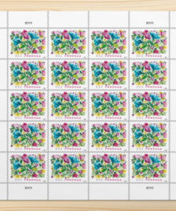 2024 Celebration Blooms